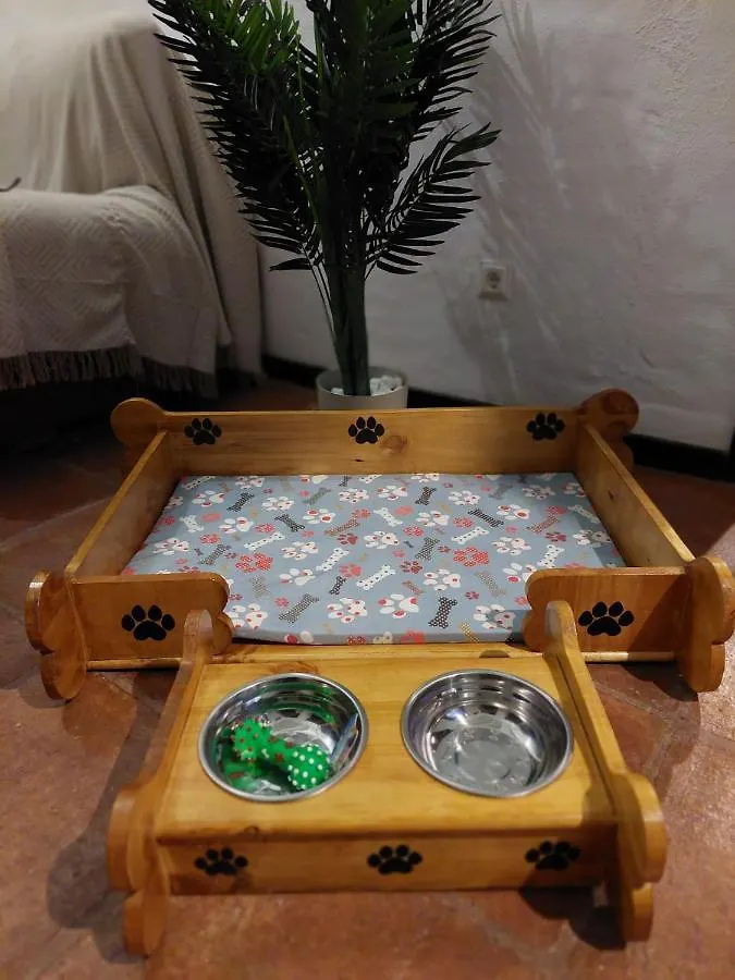 Mascotas 1 Apartment Benaocaz Spain